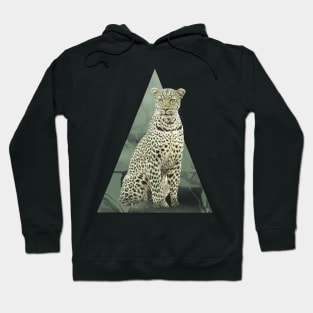 Leopard on Safari in Kenya / Africa Hoodie